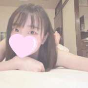 ヒメ日記 2025/11/14 17:01 投稿 のわ JAPAN CLUB BUNNY LOUNGE