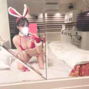 ヒメ日記 2025/11/18 12:02 投稿 のわ JAPAN CLUB BUNNY LOUNGE