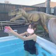 ヒメ日記 2025/11/20 08:00 投稿 のわ JAPAN CLUB BUNNY LOUNGE