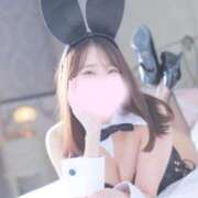 のわ 🈵完売🩷 JAPAN CLUB BUNNY LOUNGE