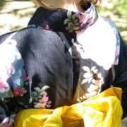 ヒメ日記 2025/11/15 03:55 投稿 長谷部 こころ こあくまな熟女たち 本厚木店(KOAKUMAグループ)