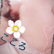 ヒメ日記 2025/11/19 18:37 投稿 長谷部 こころ こあくまな熟女たち 本厚木店(KOAKUMAグループ)