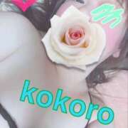 ヒメ日記 2025/11/22 18:33 投稿 長谷部 こころ こあくまな熟女たち 本厚木店(KOAKUMAグループ)