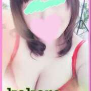 ヒメ日記 2026/02/15 09:06 投稿 長谷部 こころ こあくまな熟女たち 本厚木店(KOAKUMAグループ)