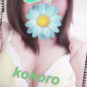 ヒメ日記 2026/02/21 09:13 投稿 長谷部 こころ こあくまな熟女たち 本厚木店(KOAKUMAグループ)