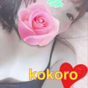 ヒメ日記 2026/08/14 16:50 投稿 長谷部 こころ こあくまな熟女たち 本厚木店(KOAKUMAグループ)