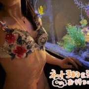 ヒメ日記 2026/03/13 07:13 投稿 れいら 手コキガールズコレクション