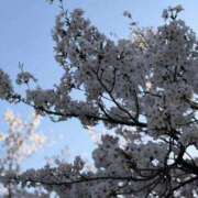 ヒメ日記 2026/04/15 18:35 投稿 鈴鹿 Mrs.Deep SPA（ディープスパ）