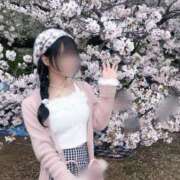 ヒメ日記 2026/05/03 16:12 投稿 桜井せいな BLENDA V.I.P東京店