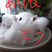 ヒメ日記 2025/09/28 11:48 投稿 兼綱凛子 五十路マダム姫路店