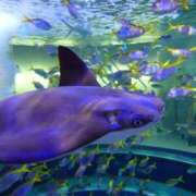 ヒメ日記 2025/10/23 09:58 投稿 兼綱凛子 五十路マダム姫路店