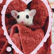 ヒメ日記 2026/03/19 08:56 投稿 兼綱凛子 五十路マダム姫路店