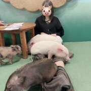 ヒメ日記 2025/11/07 14:29 投稿 さゆ スピード難波店