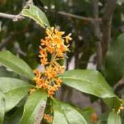 ヒメ日記 2025/09/05 01:31 投稿 ヤヨイ ファーストレディー