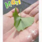 ヒメ日記 2025/10/03 17:02 投稿 茉莉【マリ】 Evolution1st キタ兎我野店