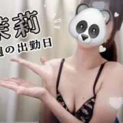 ヒメ日記 2025/12/17 20:21 投稿 茉莉【マリ】 Evolution1st キタ兎我野店