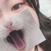 ヒメ日記 2026/04/10 18:58 投稿 かれん 名古屋ちゃんこ