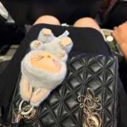 ヒメ日記 2025/10/15 21:21 投稿 あかり 秋葉原コスプレ学園(AKG)