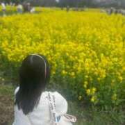 ヒメ日記 2026/01/03 16:12 投稿 あかり 秋葉原コスプレ学園(AKG)