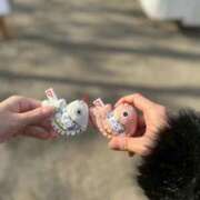 ヒメ日記 2026/01/22 15:11 投稿 あかり 秋葉原コスプレ学園(AKG)