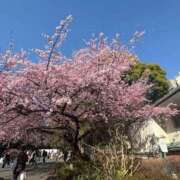 ヒメ日記 2026/03/17 09:01 投稿 あかり 秋葉原コスプレ学園(AKG)