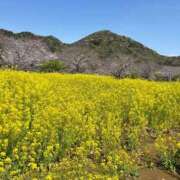 ヒメ日記 2026/03/20 10:21 投稿 あかり 秋葉原コスプレ学園(AKG)