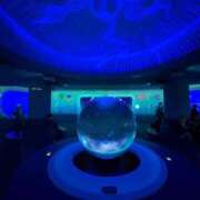 ヒメ日記 2026/04/14 08:51 投稿 あかり 秋葉原コスプレ学園(AKG)