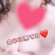 ヒメ日記 2025/09/17 20:36 投稿 矢口 響 五十路マダムエクスプレス横浜店（カサブランカグループ）