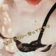 ヒメ日記 2025/11/12 13:22 投稿 矢口 響 五十路マダムエクスプレス横浜店（カサブランカグループ）