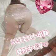 ヒメ日記 2026/05/14 14:14 投稿 矢口 響 五十路マダムエクスプレス横浜店（カサブランカグループ）