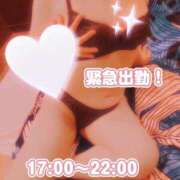 ヒメ日記 2026/05/17 14:58 投稿 矢口 響 五十路マダムエクスプレス横浜店（カサブランカグループ）