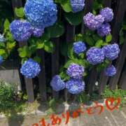 ヒメ日記 2026/05/28 12:32 投稿 矢口 響 五十路マダムエクスプレス横浜店（カサブランカグループ）