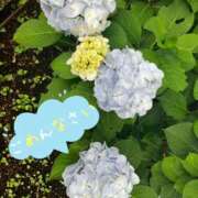 ヒメ日記 2026/06/10 11:34 投稿 矢口 響 五十路マダムエクスプレス横浜店（カサブランカグループ）