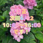 ヒメ日記 2026/06/15 09:26 投稿 矢口 響 五十路マダムエクスプレス横浜店（カサブランカグループ）