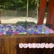 ヒメ日記 2026/07/05 20:40 投稿 矢口 響 五十路マダムエクスプレス横浜店（カサブランカグループ）