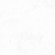 ヒメ日記 2025/10/21 19:28 投稿 りり JAPAN CLUB BUNNY LOUNGE