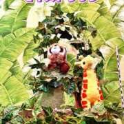 ヒメ日記 2025/12/09 06:53 投稿 めぐみ MOISTLIP