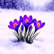 ヒメ日記 2025/12/15 14:03 投稿 めぐみ MOISTLIP