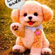 ヒメ日記 2026/01/11 21:33 投稿 めぐみ MOISTLIP