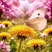 ヒメ日記 2026/01/20 07:53 投稿 めぐみ MOISTLIP