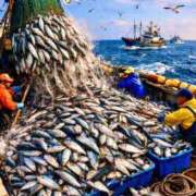 ヒメ日記 2026/01/24 20:33 投稿 めぐみ MOISTLIP