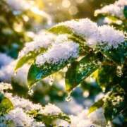 ヒメ日記 2026/02/08 12:53 投稿 めぐみ MOISTLIP