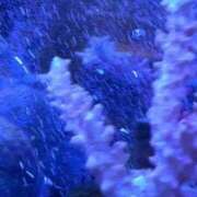 ヒメ日記 2026/04/05 09:53 投稿 めぐみ MOISTLIP