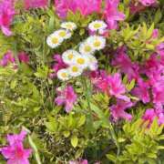 ヒメ日記 2026/04/24 08:43 投稿 めぐみ MOISTLIP