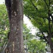 ヒメ日記 2026/04/29 11:33 投稿 めぐみ MOISTLIP