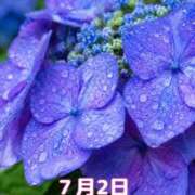 ヒメ日記 2026/06/28 14:03 投稿 めぐみ MOISTLIP