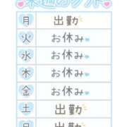 ヒメ日記 2025/09/09 16:11 投稿 レイコ しゅうかつ倶楽部