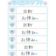 ヒメ日記 2025/09/22 20:38 投稿 レイコ しゅうかつ倶楽部