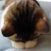 ヒメ日記 2025/10/01 10:17 投稿 レイコ しゅうかつ倶楽部