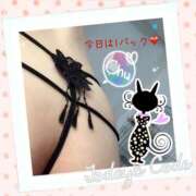 ヒメ日記 2025/10/15 07:04 投稿 レイコ しゅうかつ倶楽部